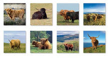 Load image into Gallery viewer, Highland Cows 2026 Calendar Wall Planner Organiser Scottish Cattle Christmas Gift