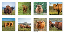 Load image into Gallery viewer, Highland Cows Calendar 2027 Wall Planner Organiser Scottish Cattle Animals