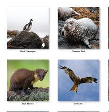 Load image into Gallery viewer, Natural Scotland 2027 Calendar Wall Planner Organiser Red Kite Puffins