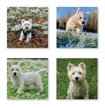 Load image into Gallery viewer, West Highland Terriers Calendar 2027 Wall Planner Organiser Westies Dogs