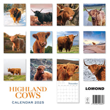 Load image into Gallery viewer, Highland Cows Calendar 2025 Wall Planner Organiser Scottish Cattle Christmas Gift
