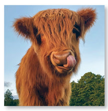Load image into Gallery viewer, Highland Cows Calendar 2025 Wall Planner Organiser Scottish Cattle Christmas Gift
