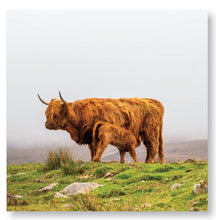 Load image into Gallery viewer, Highland Cows Calendar 2025 Wall Planner Organiser Scottish Cattle Christmas Gift
