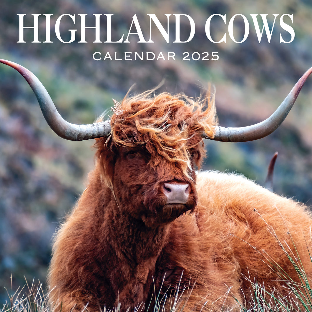 Highland Cows Calendar 2025 Wall Planner Organiser Scottish Cattle Christmas Gift