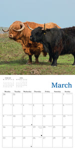 Highland Cows 2026 Calendar Wall Planner Organiser Scottish Cattle Christmas Gift