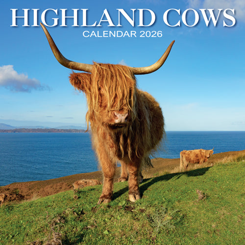 Highland Cows 2026 Calendar Wall Planner Organiser Scottish Cattle Christmas Gift