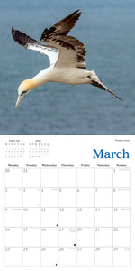 Natural Scotland 2026 Calendar Wall Planner Organiser Scottish Wildlife Christmas Gift