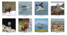 Load image into Gallery viewer, Natural Scotland 2026 Calendar Wall Planner Organiser Scottish Wildlife Christmas Gift
