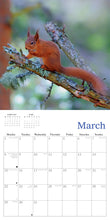 Load image into Gallery viewer, Natural Scotland 2027 Calendar Wall Planner Organiser Red Kite Puffins
