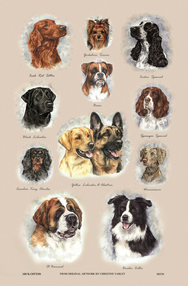 Dog Breeds Cotton Tea Towel by Samuel Lamont