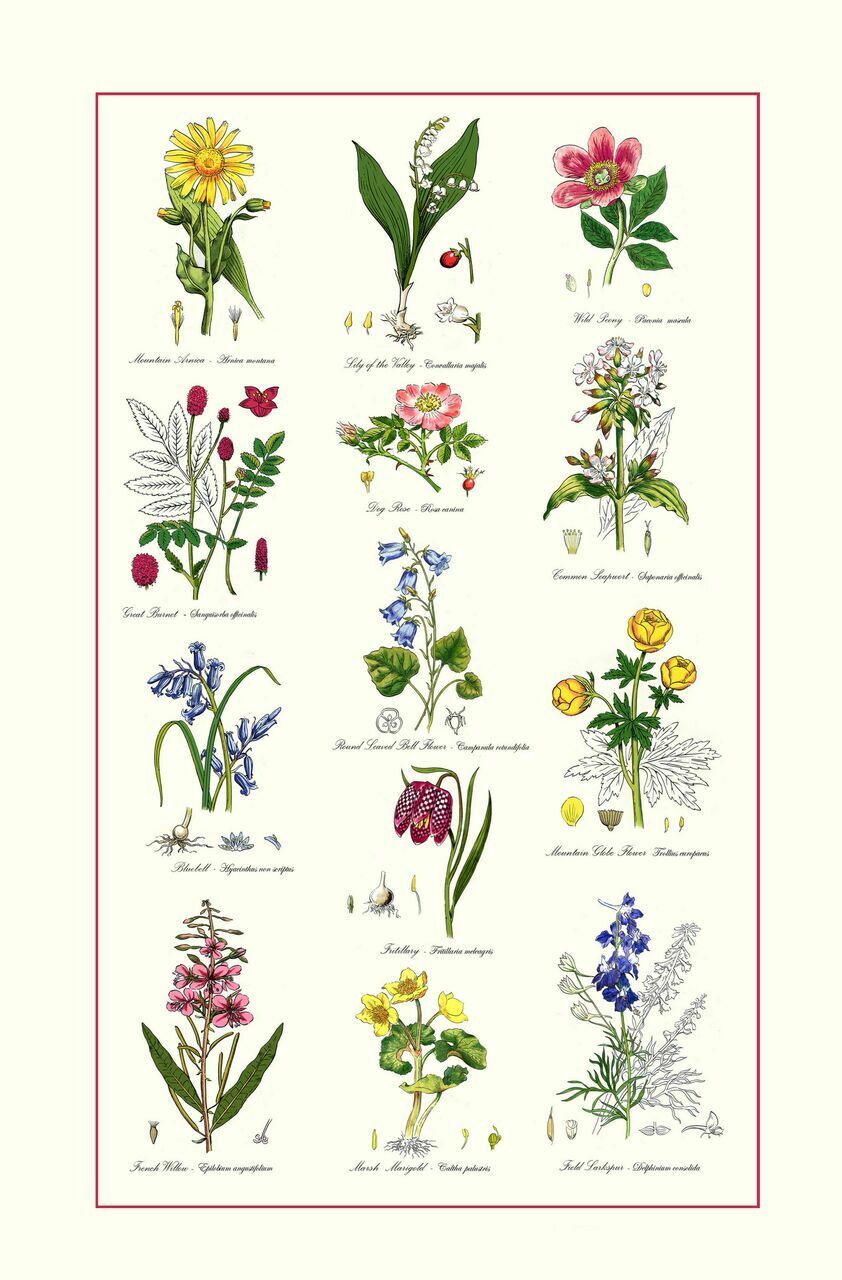Botanic Garden Cotton Tea Towel