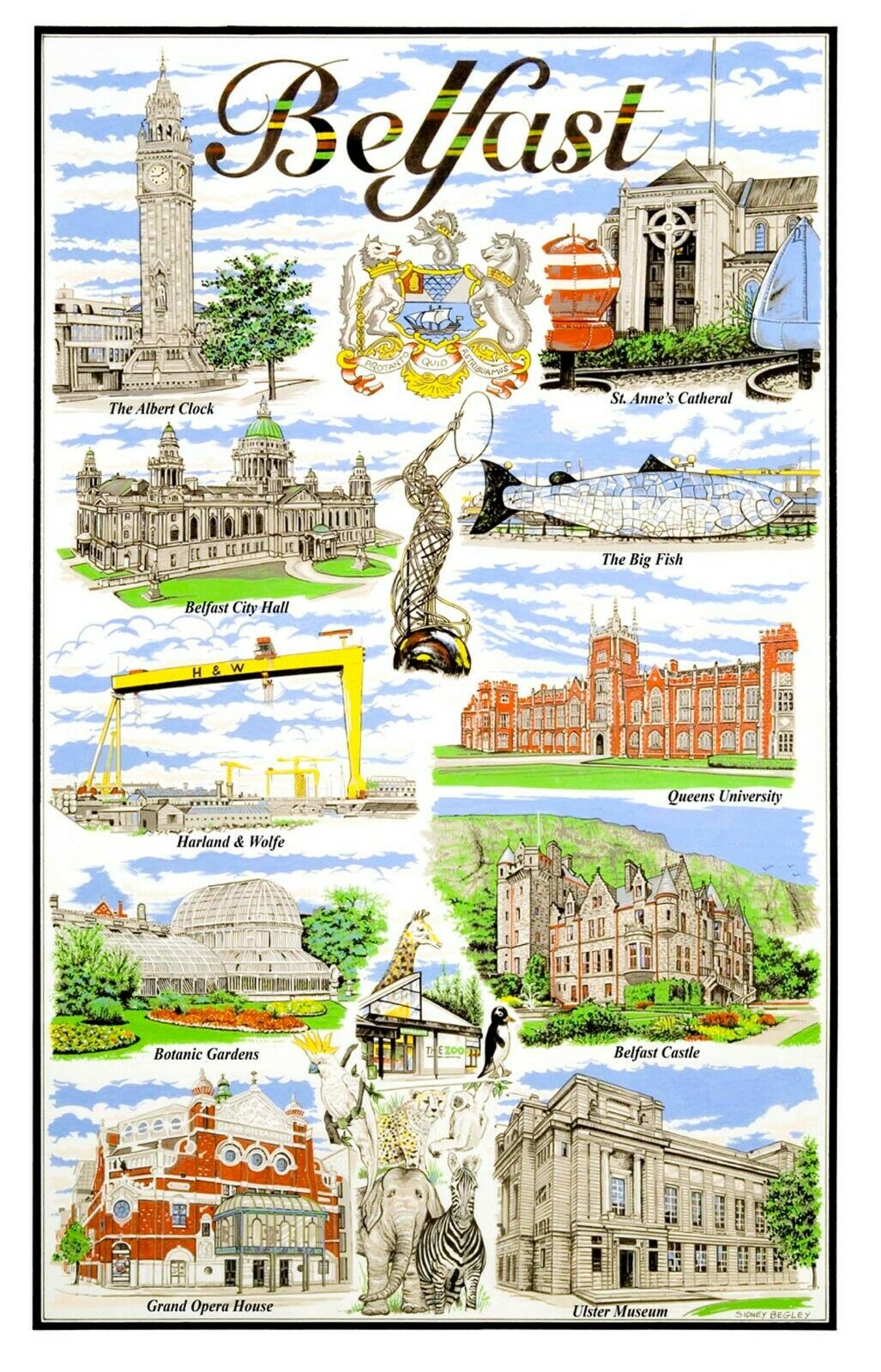 Belfast Cotton Tea Towel
